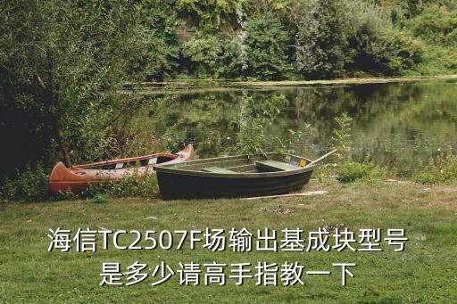 海信tc2507f集成块是什么型号，海信TC2507F场输出基成块型号是多少请高手指教一下