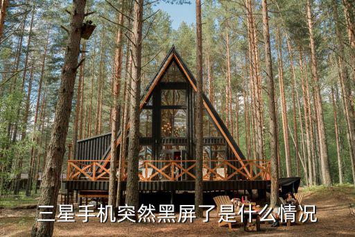 三星i9308黑屏什么原因，三星I9308在地上摔了下屏幕就是黑的了开机能开是什么原因