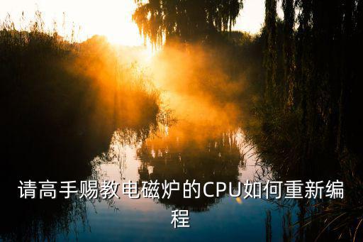 电磁炉芯片用什么编程器，电磁炉的芯片程序怎么写