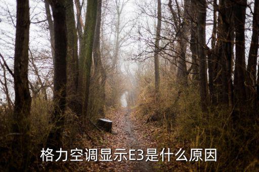 格力空调显示E3是什么原因