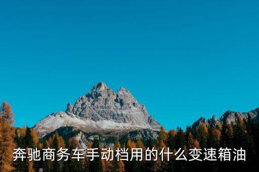 奔驰商务车手动档用的什么变速箱油
