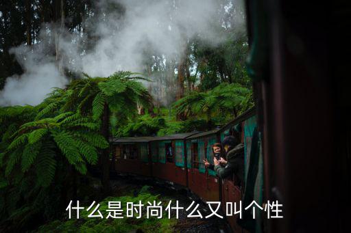 什么是时尚什么又叫个性