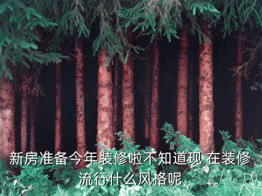 新房准备今年装修啦不知道现 在装修流行什么风格呢