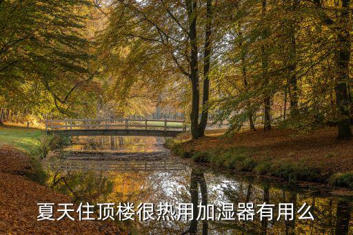 夏天住顶楼很热用加湿器有用么