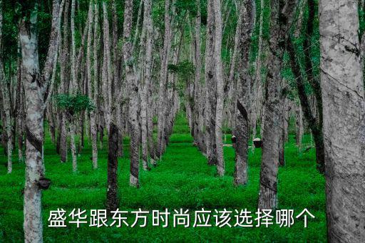 盛华跟东方时尚应该选择哪个