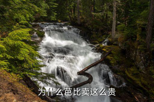 为什么芭比卖这么贵