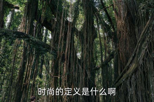 时尚的定义是什么啊