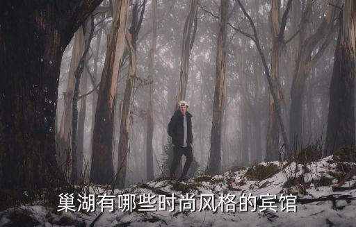 巢湖有哪些时尚风格的宾馆