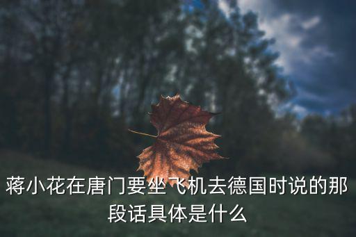时尚机车达人是什么，下面这款衣服叫什么名什么款式 有图