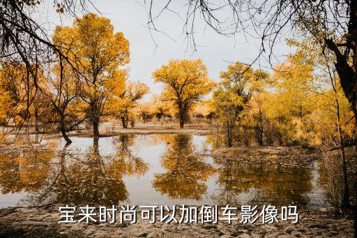宝来时尚可以加倒车影像吗