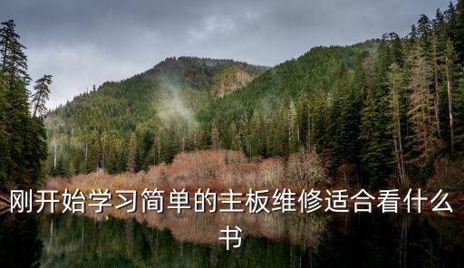 刚开始学习简单的主板维修适合看什么书