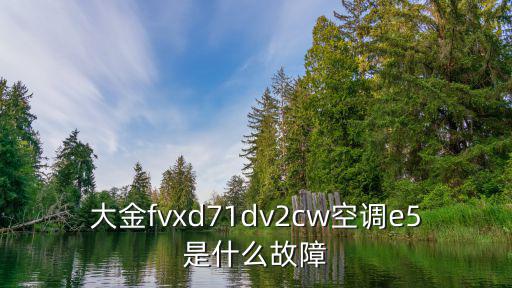 大金空调e5是什么故障，空调上出现e5是啥意思