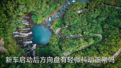 新车方向盘抖动是什么原因，新车启动后方向盘有轻微抖动正常吗