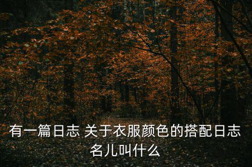 mfd时尚日记是什么，有一篇日志 关于衣服颜色的搭配日志名儿叫什么