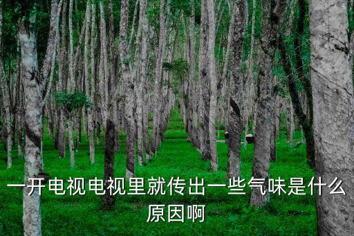 东芝电视有味道是什么原因，为什么电视机用久后会放出难闻气味