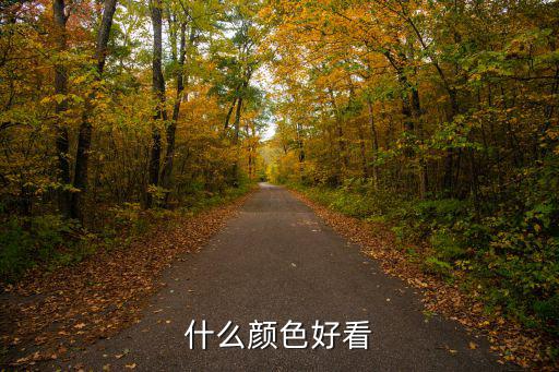 什么颜色好看