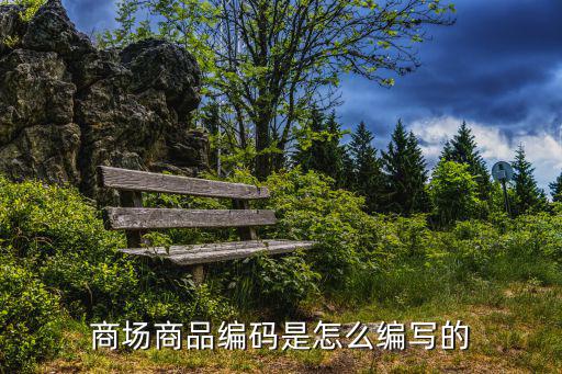 商场商品编码是怎么编写的