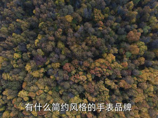 男生什么手表时尚简约风，有哪些款式简约大气的手表