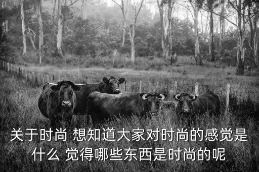 最时尚的感觉是什么，关于时尚 想知道大家对时尚的感觉是什么 觉得哪些东西是时尚的呢