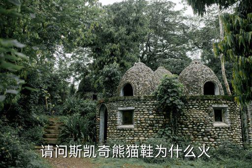 斯凯奇为什么能时尚取胜，什么品牌的书包又好又耐用