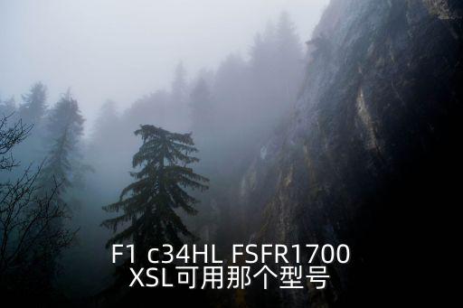 fsfr1700用什么代换，F1 c34HL FSFR1700XSL可用那个型号