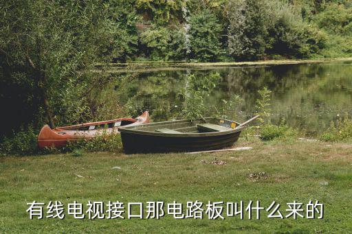 有线电视接口那电路板叫什么来的