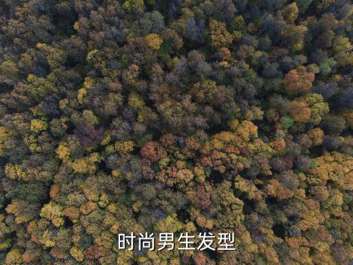 时尚男生发型