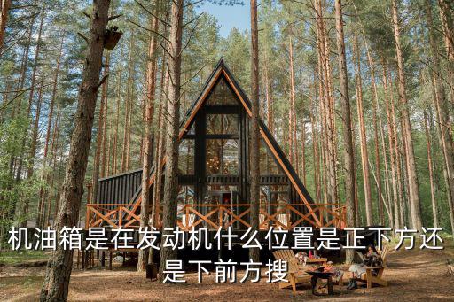 机油箱是在发动机什么位置是正下方还是下前方搜