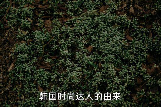 为什么有人想做时尚达人，如何成为时尚达人