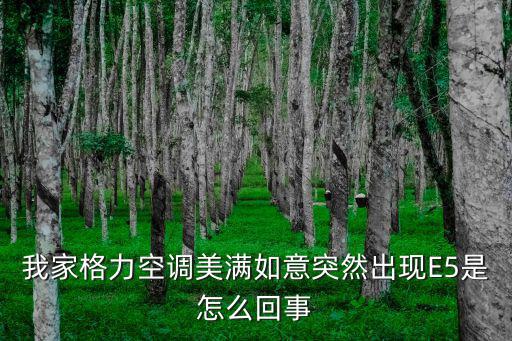 我家格力空调美满如意突然出现E5是怎么回事