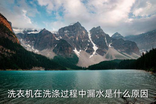 洗衣机在洗涤过程中漏水是什么原因