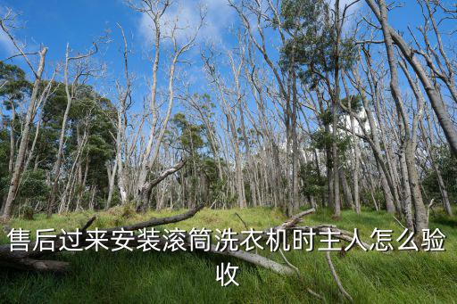 售后过来安装滚筒洗衣机时主人怎么验收