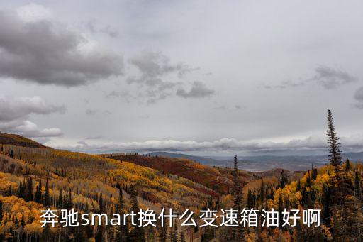 奔驰smart换什么变速箱油好啊
