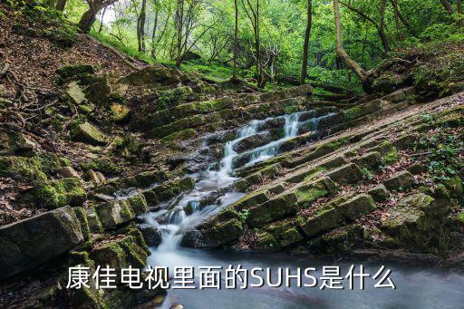 康佳电视里面的SUHS是什么