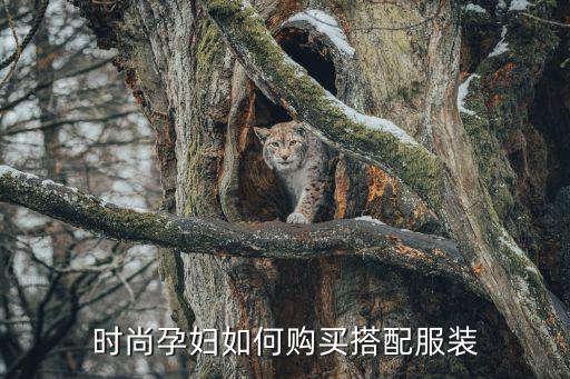 时尚孕妇如何购买搭配服装