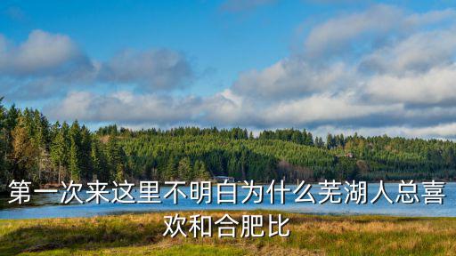 第一次来这里不明白为什么芜湖人总喜欢和合肥比