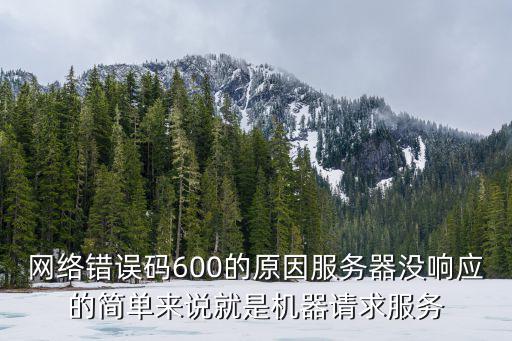 检查网络600是什么故障，我是主人公一直卡在169那里连着无线网却提示检查网络这是怎