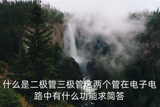 什么是二极管三极管这两个管在电子电路中有什么功能求简答