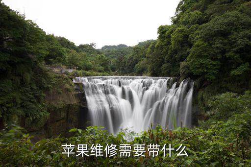 苹果维修需要带什么