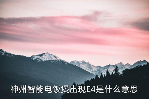 神州智能电饭煲出现E4是什么意思