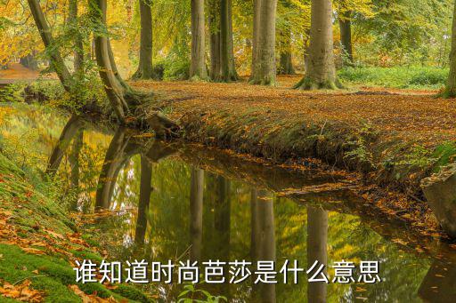 谁知道时尚芭莎是什么意思