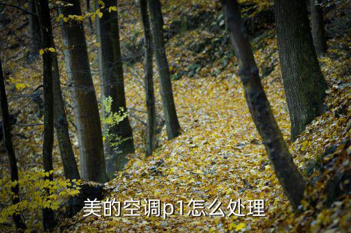 美的空调p1怎么处理