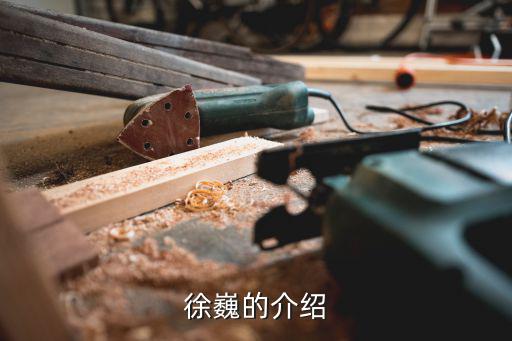 徐巍的介绍