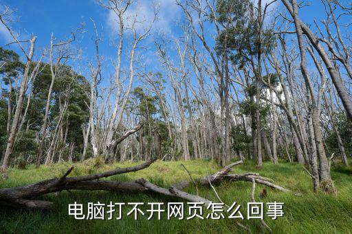 电脑打不开网页怎么回事