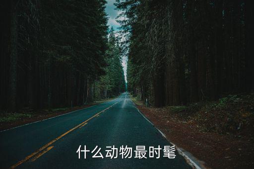 什么动物最时尚成语大全，什么动物最时尚
