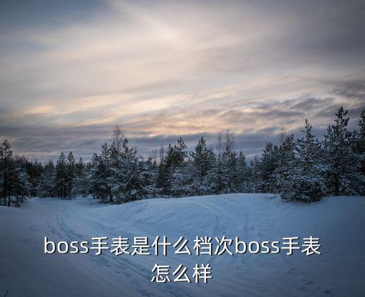 时尚男士手表什么档次，男生戴什么手表有档次