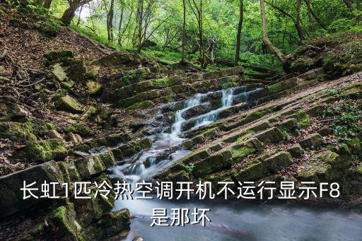 长虹空调f8是什么故障，长虹1匹冷热空调开机不运行显示F8是那坏