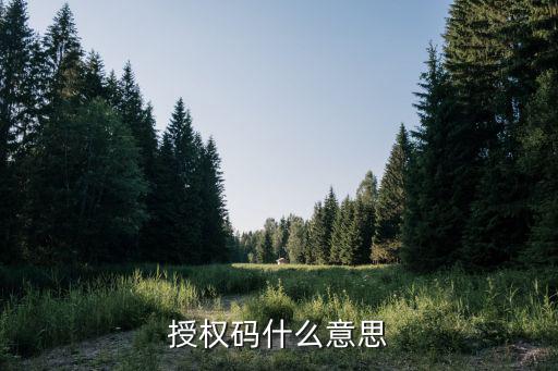 时尚部落授权码是什么，请问授权码是多少