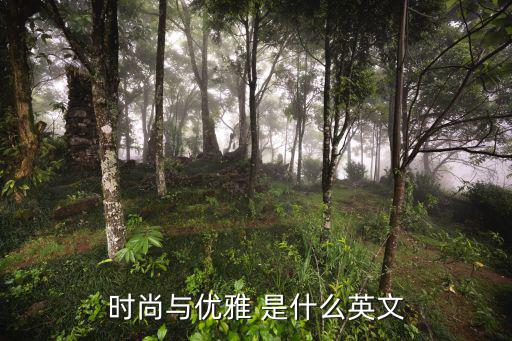 优雅时尚是什么，E级时尚与优雅的区分