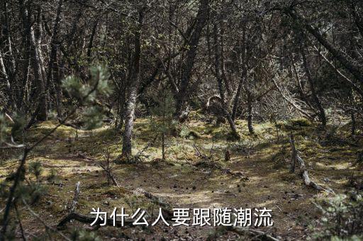 为什么人要跟随潮流